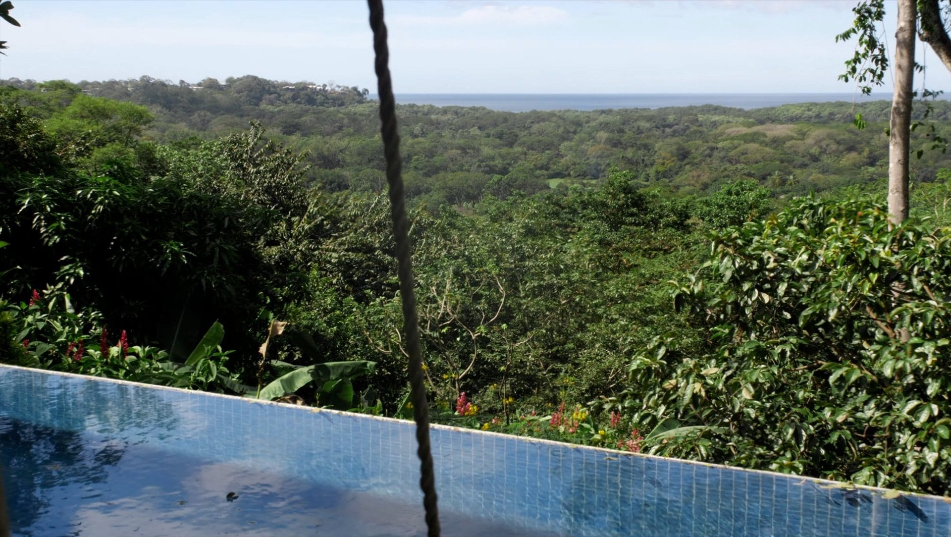 Infinity pool edge above the jungle valley